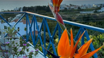 Exceptional Value & Lifestyle Appeal