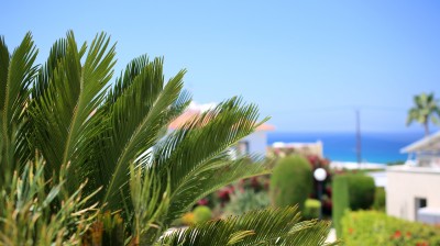 Exceptional Value & Lifestyle Appeal