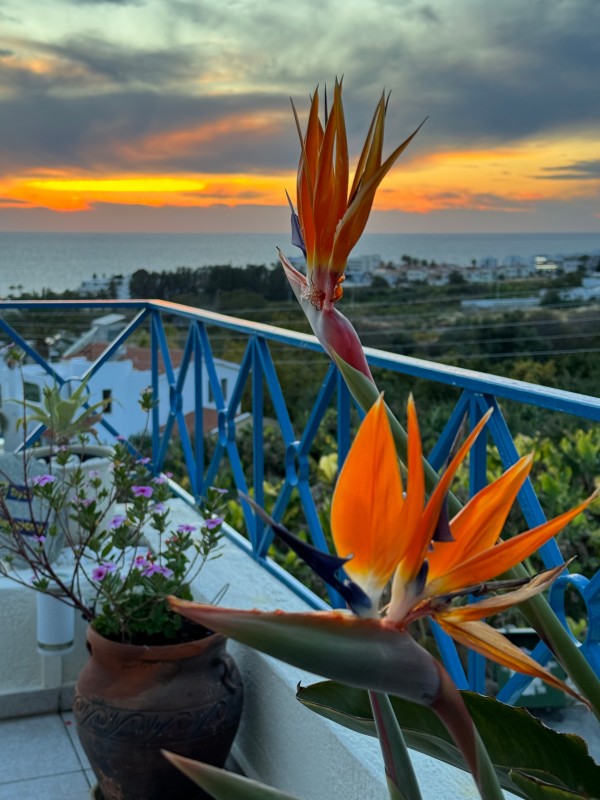Exceptional Value & Lifestyle Appeal