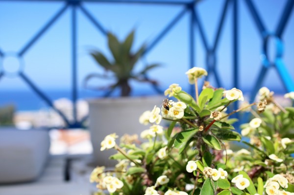 Exceptional Value & Lifestyle Appeal