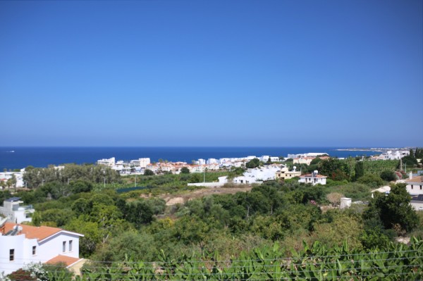 Exceptional Value & Lifestyle Appeal